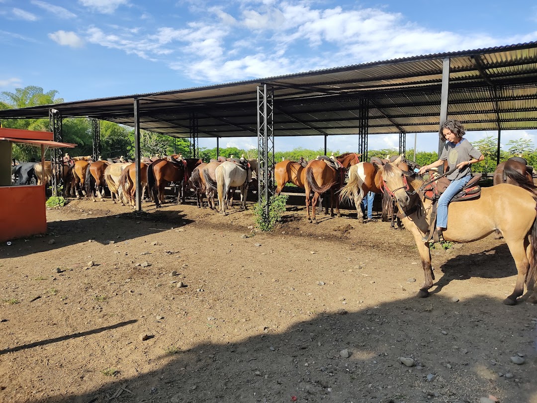 Pesebrera Tres Potrillos