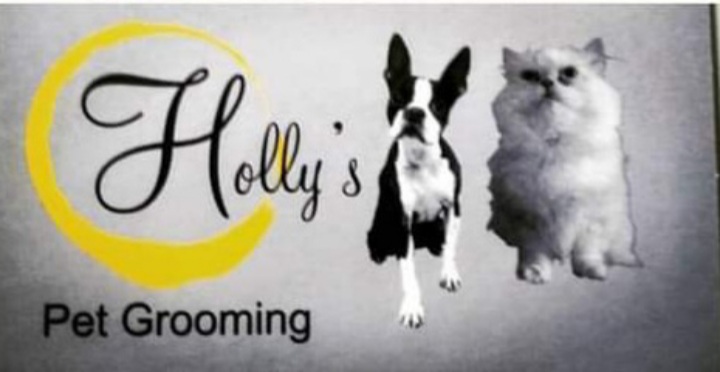 Holly's Pet Grooming