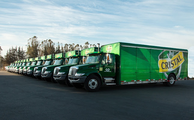 Transportes Cargo Pacifico Ltda.