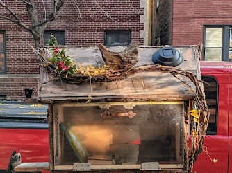 Little Free Library (aka The Little Bird Book House)