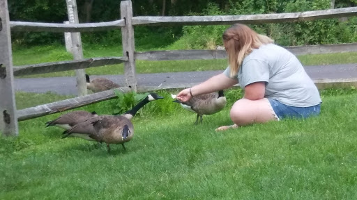 Nature Preserve «Beechwood Farms Nature Reserve», reviews and photos, 614 Dorseyville Rd, Pittsburgh, PA 15238, USA