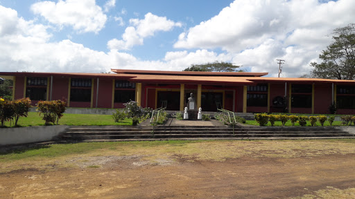 Colegio Chino Nicaragüense