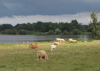 Parc naturel régional de la Brenne à Rosnay