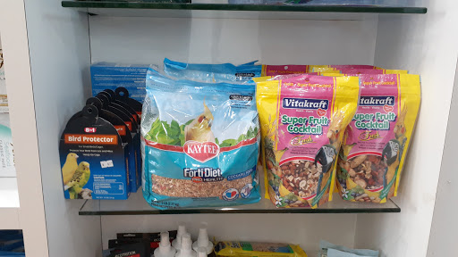 Pet Store «South Beach Pet Shop», reviews and photos, 634 6th St, Miami Beach, FL 33139, USA