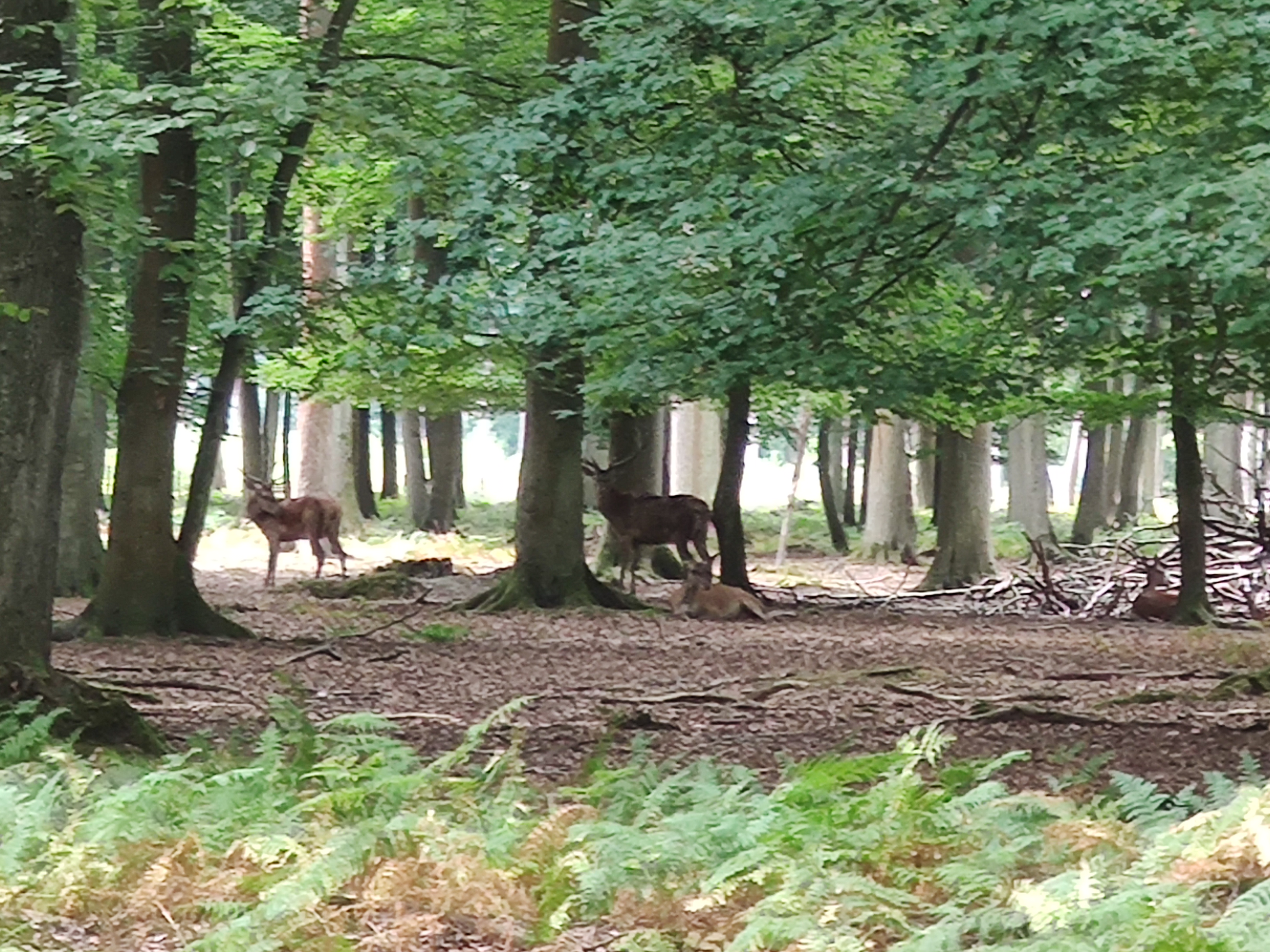 Photo n° 29 de l'avis de LAMBERT.r fait le 16/08/2022 à 19:17