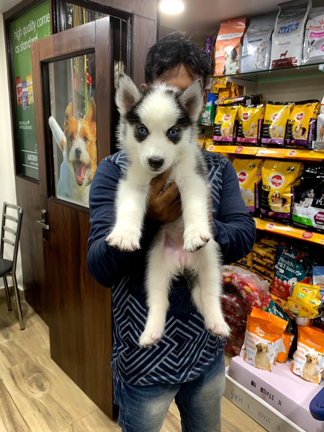 HKG Pet Shop & Clinic