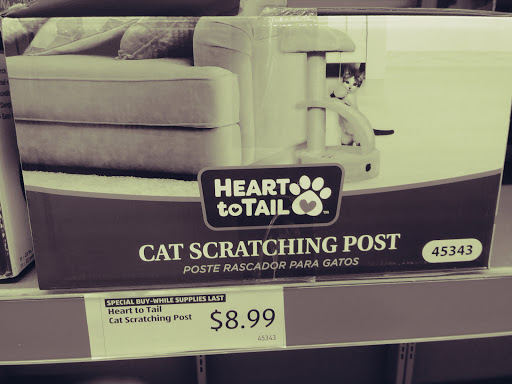 Supermarket «ALDI», reviews and photos, 244 Bloomfield Ave, Bloomfield, NJ 07003, USA