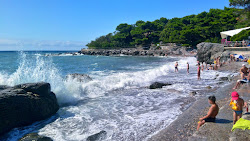 Zdjęcie Foros Park beach z poziomem czystości wysoki