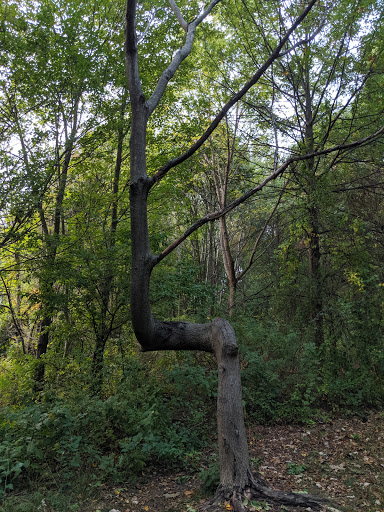 Memorial Park «Captain Stephen Olney Memorial Park», reviews and photos, Smithfield Rd, North Providence, RI 02904, USA