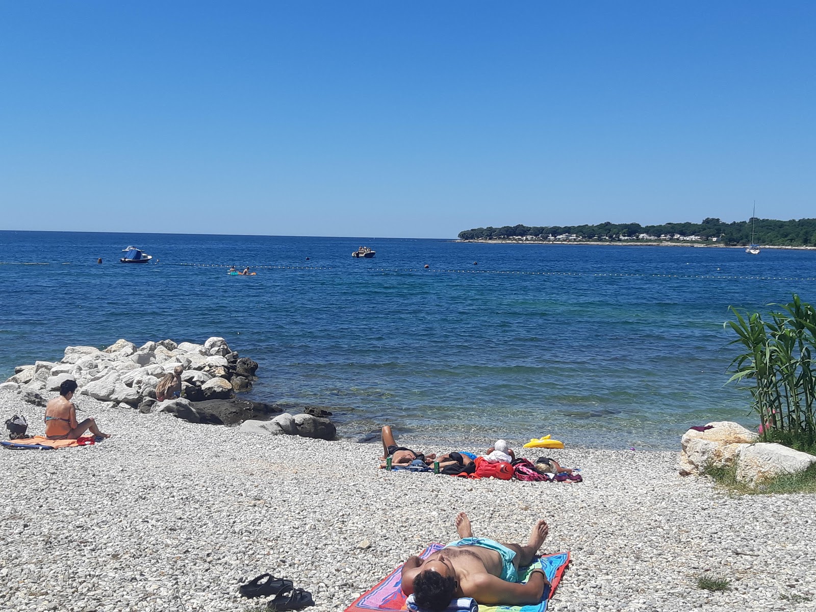 Photo de Pichlinger Meer avec plusieurs moyennes baies