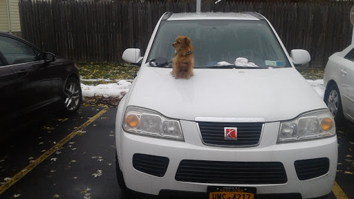 Tire Shop «Mavis Discount Tire», reviews and photos, 231 Elmira Rd, Ithaca, NY 14850, USA