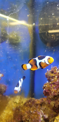 Pet Store «Pet Valu», reviews and photos, 11099 Resort Road a302, Ellicott City, MD 21042, USA