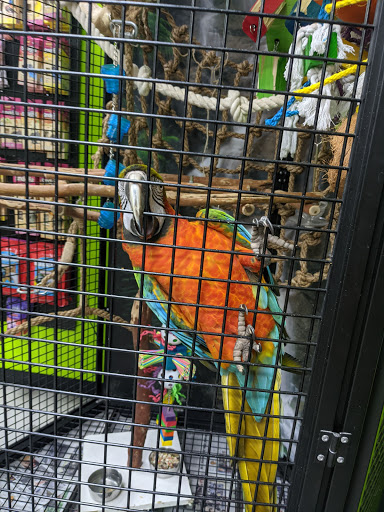 Pet Store «Belmont Pet Shop», reviews and photos, 17 Flett Rd, Belmont, MA 02478, USA