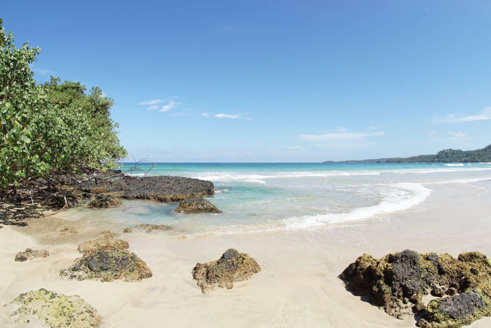 Foto af Wizard Beach beliggende i naturområde