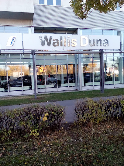 Wallis Motor Duna