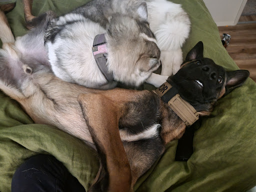 Pet Groomer «All For Paws», reviews and photos, 246 W Manson Hwy #6, Chelan, WA 98816, USA