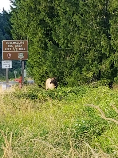 General Store «Brinnon General Store», reviews and photos, 306413 US-101, Brinnon, WA 98320, USA