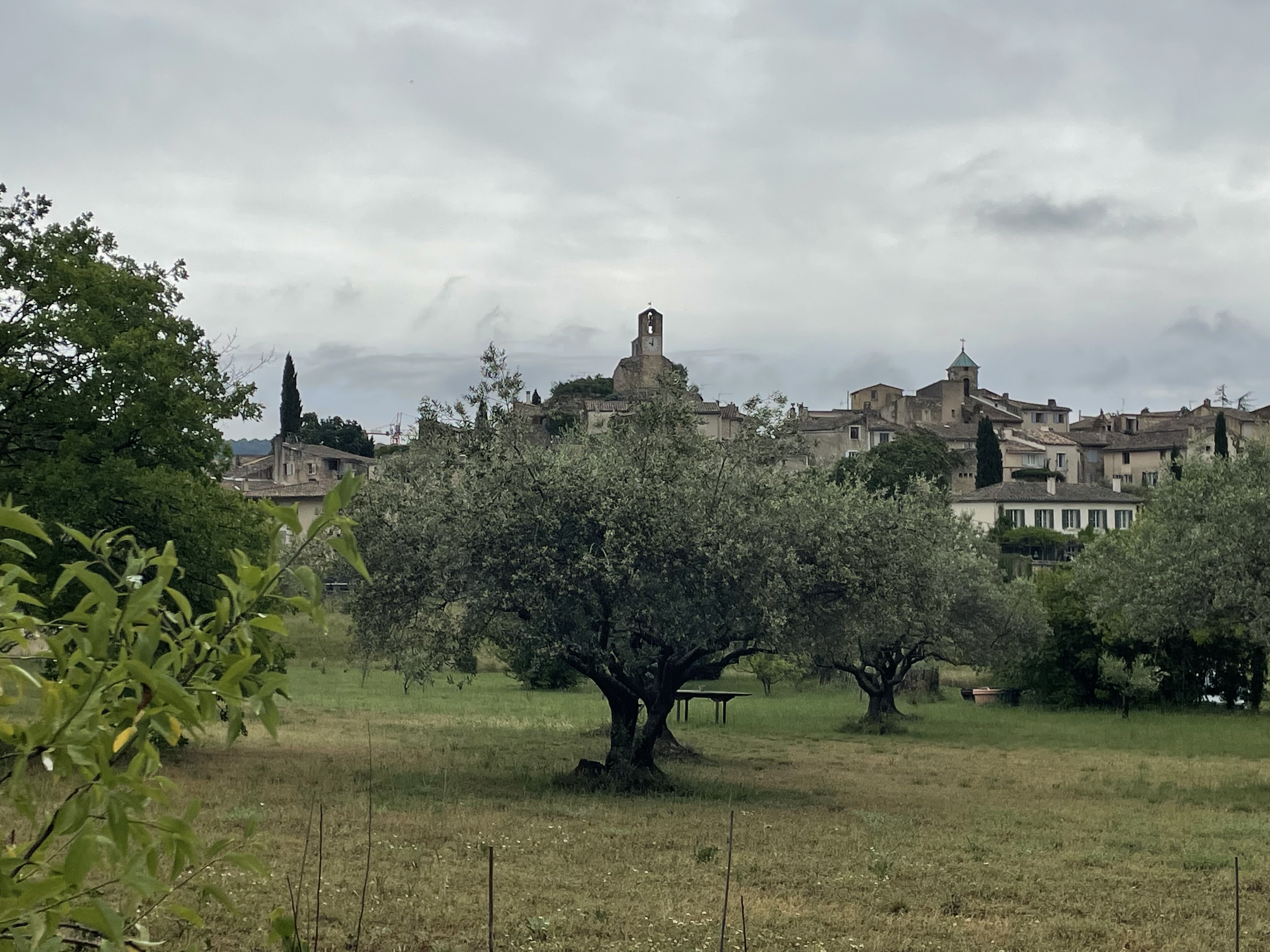 Photo n° 7 de l'avis de belair.5 fait le 19/05/2023 à 19:57