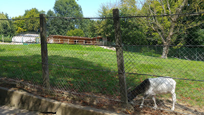 Parc animalier à Athis-Mons