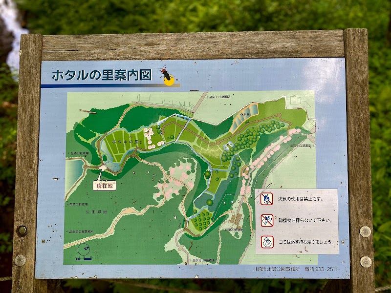 ホタルの里 神奈川県川崎市多摩区枡形 自然保護公園 公園 グルコミ