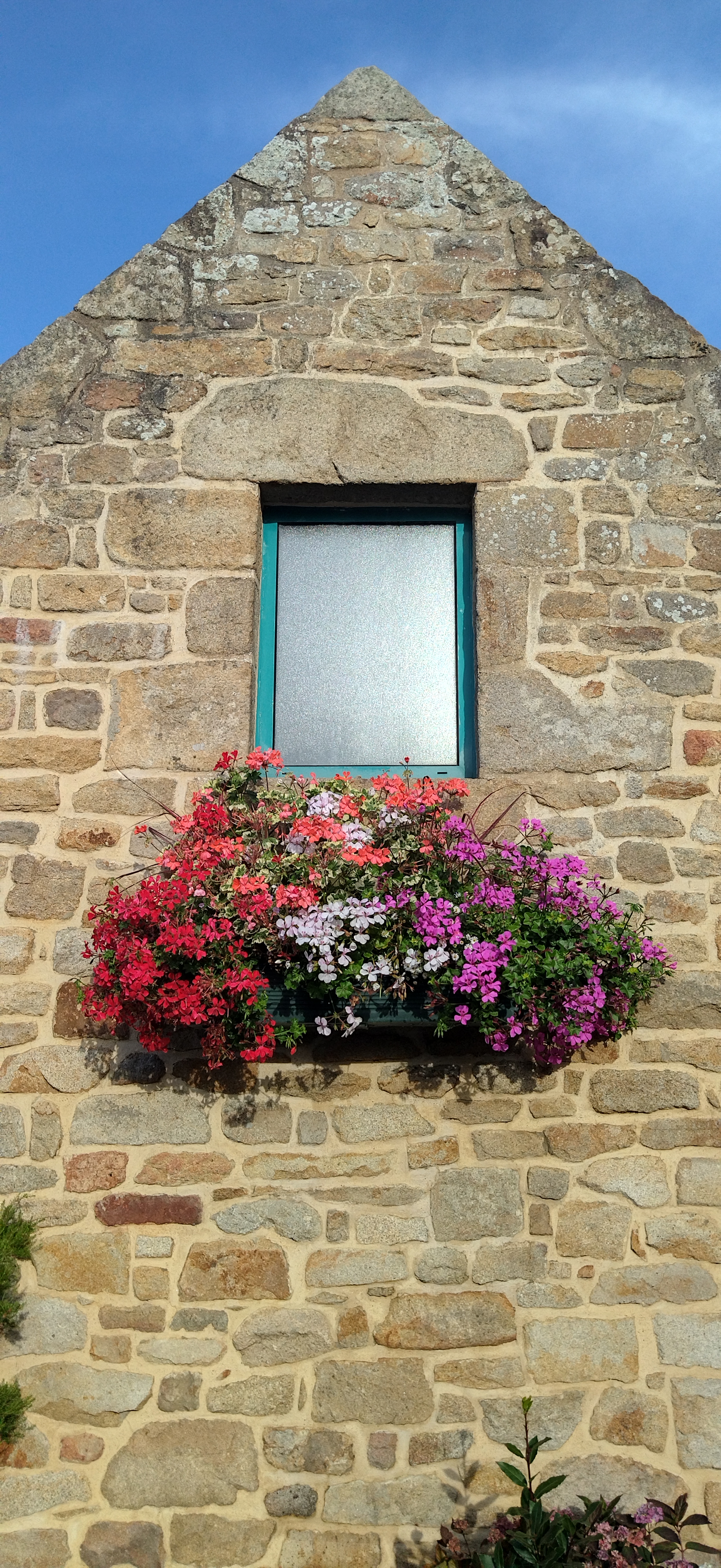 Photo n° 10 de l'avis de Felipe.a fait le 15/07/2022 à 17:03