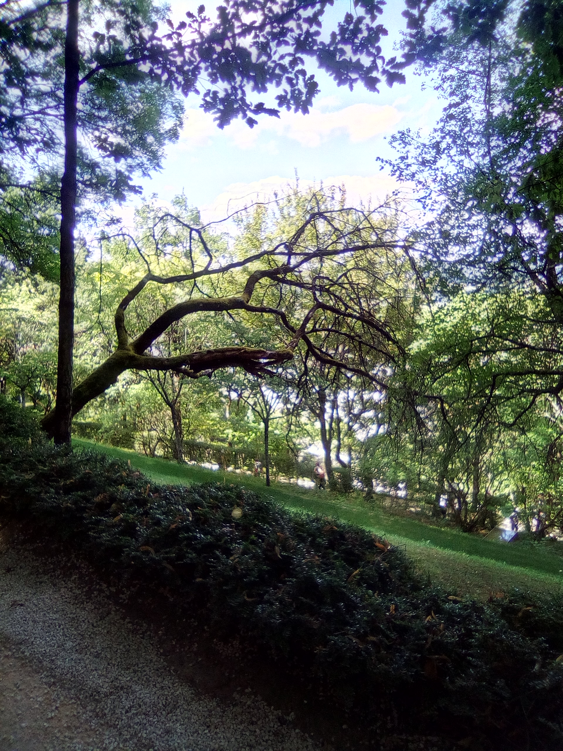 Photo n° 7 de l'avis de Danièle.c fait le 30/07/2019 à 12:17