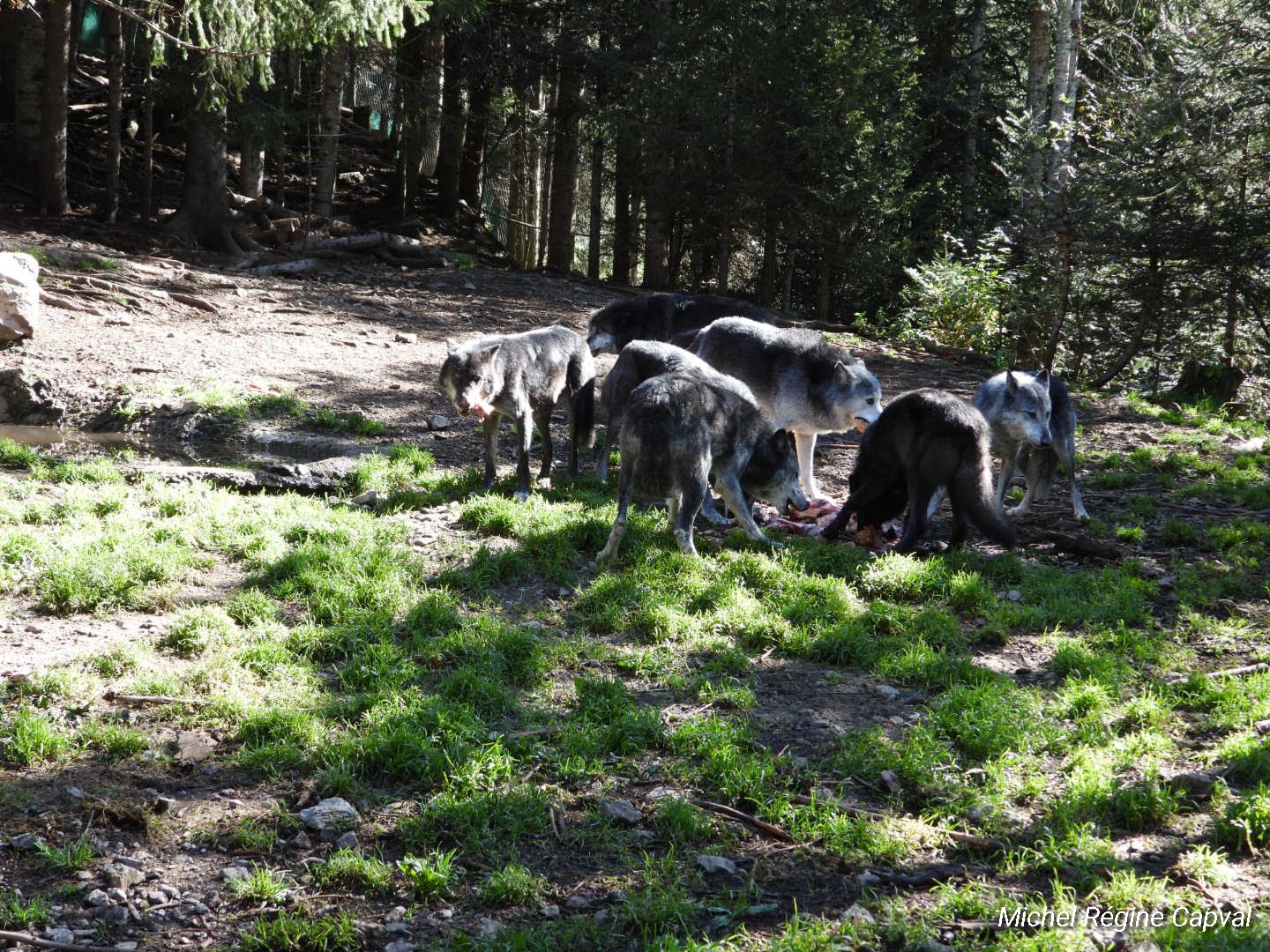 Photo n° 13 de l'avis de michel.a fait le 03/10/2019 à 13:25