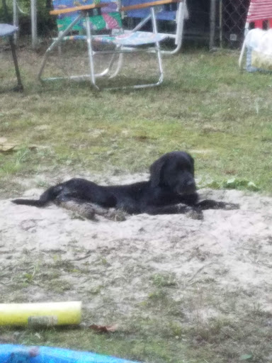 Pet Supply Store «Concord Pet Foods & Supplies», reviews and photos, 19287 Miller Rd, Rehoboth Beach, DE 19971, USA