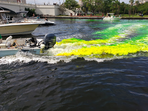 Park «Curtis Hixon Waterfront Park», reviews and photos, 600 N Ashley Dr, Tampa, FL 33602, USA