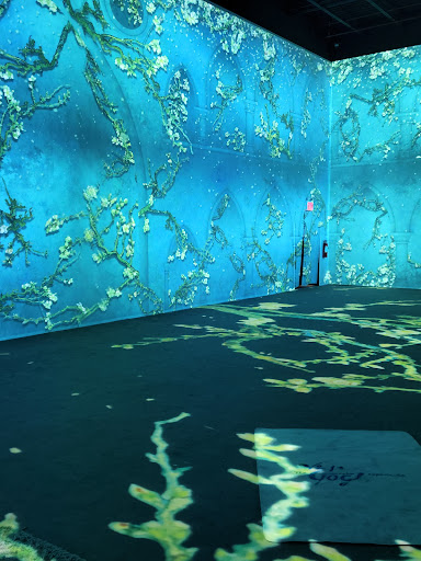 Shopping Mall «Rhode Island Avenue Shopping Center», reviews and photos, 680 Rhode Island Ave NE, Washington, DC 20002, USA