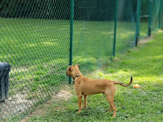 Greenville Offleash Dog Park