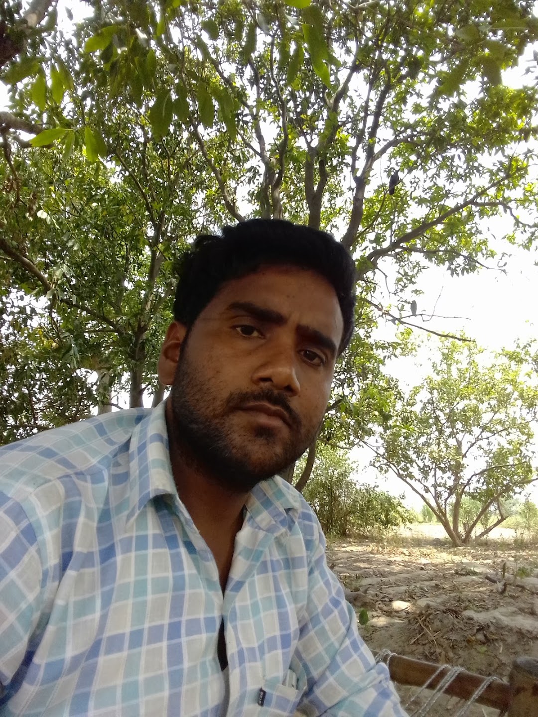 बाबा बरम्देव्