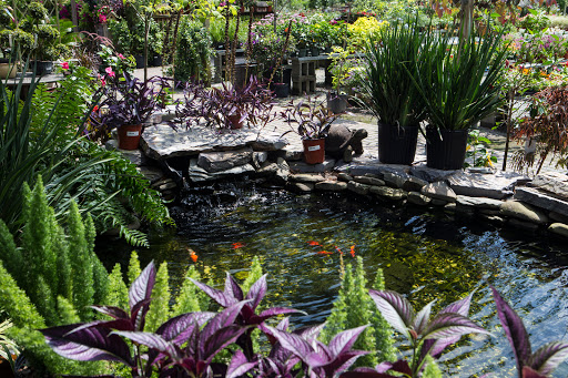 Sod Supplier «Woerner Landscape Source & Pet Supply - Pensacola», reviews and photos, 1332 Creighton Rd, Pensacola, FL 32504, USA