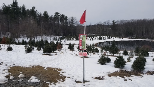 Outdoor Sports Store «Maple Hill Disc Golf», reviews and photos, 132 Marshall St, Leicester, MA 01524, USA