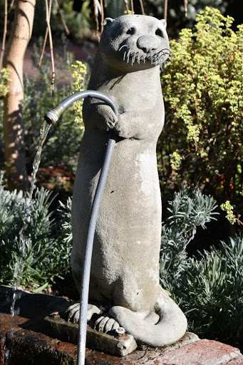 Sherman Library & Gardens image