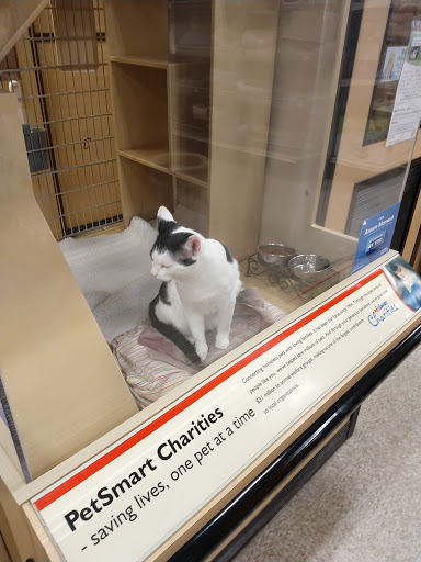 Pet Supply Store «PetSmart», reviews and photos, 600-800 Hatton Dr, Glen Mills, PA 19342, USA