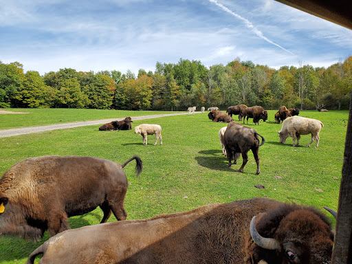 Restaurant «Hidden Valley Animal Adventure», reviews and photos, 2887 Royce Rd, Varysburg, NY 14167, USA