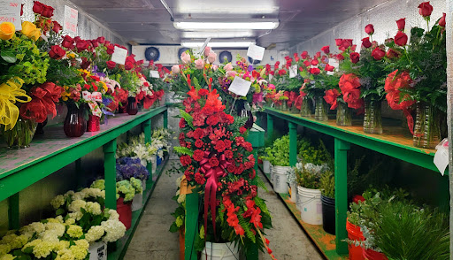 Florist «Moates Florist», reviews and photos, 5034 N Nebraska Ave, Tampa, FL 33603, USA