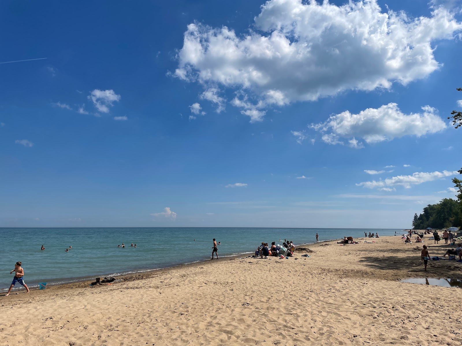 Foto di Four Mile Scenic Turnout Beach zona selvaggia