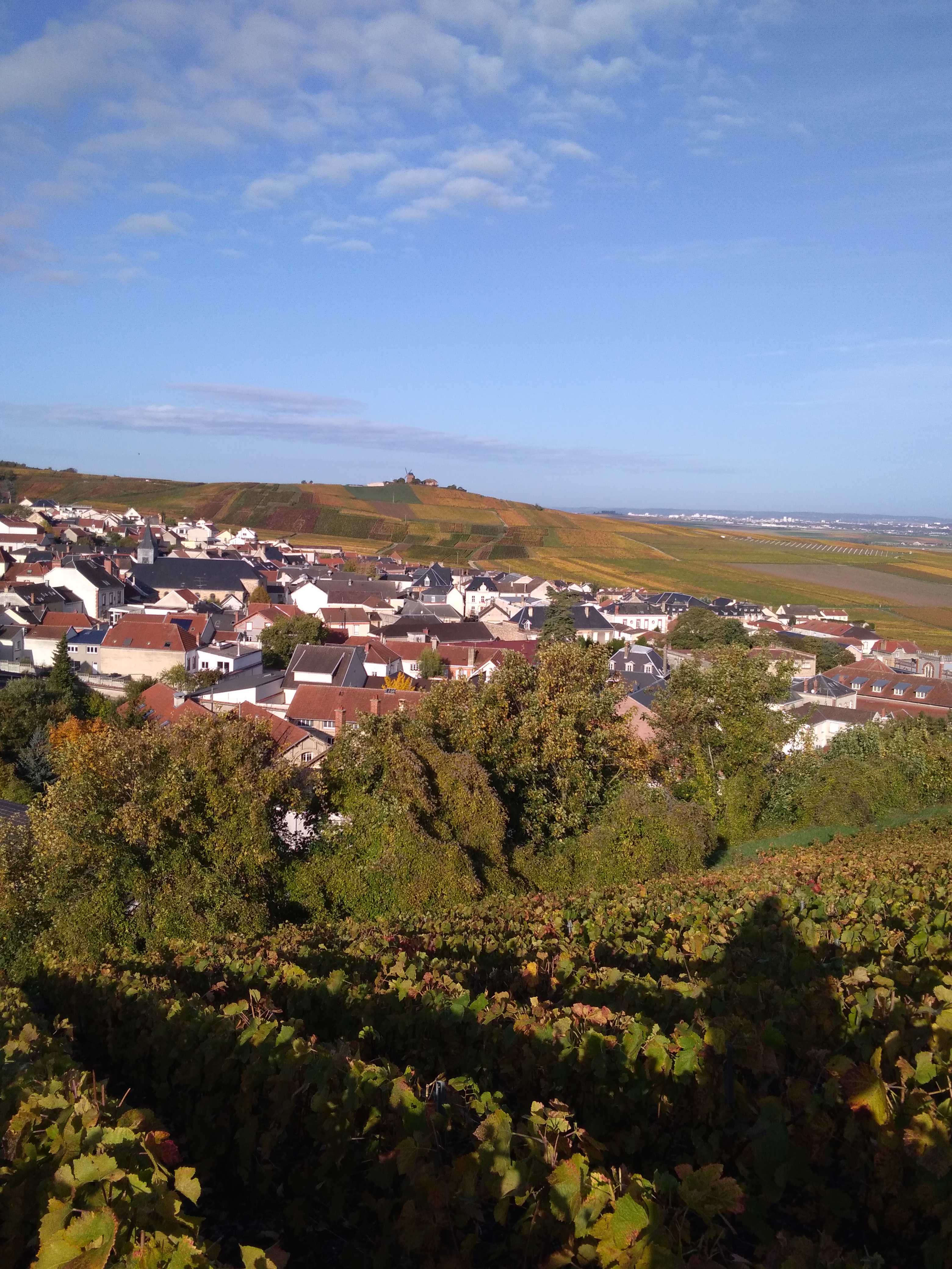 Photo n° 4 de l'avis de Julien.e fait le 25/10/2019 à 19:07