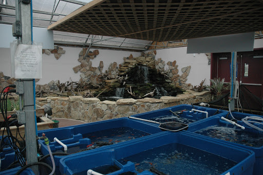 Pet Store «Wet Pets And Friends», reviews and photos, 3695 Washington Rd, Canonsburg, PA 15317, USA