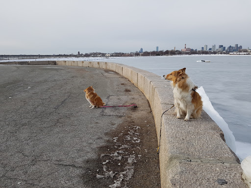 Park «Marine Park», reviews and photos, 49 Farragut Rd, Boston, MA 02127, USA