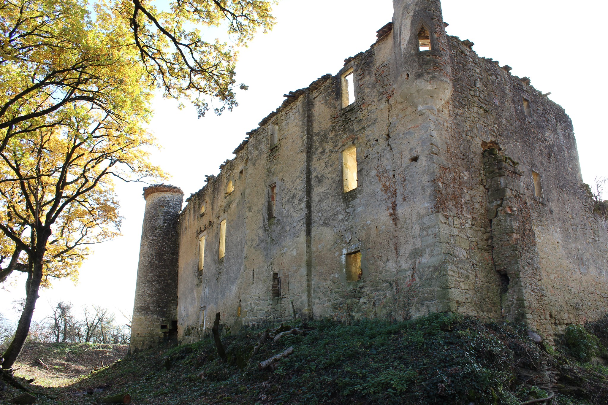 Photo n° 3 de l'avis de Gaetan.i fait le 21/12/2017 à 19:38