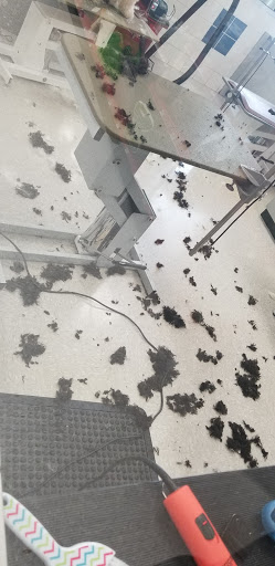 Pet Supply Store «Petco Animal Supplies», reviews and photos, 11639 S Pkwy Plaza Dr, South Jordan, UT 84095, USA