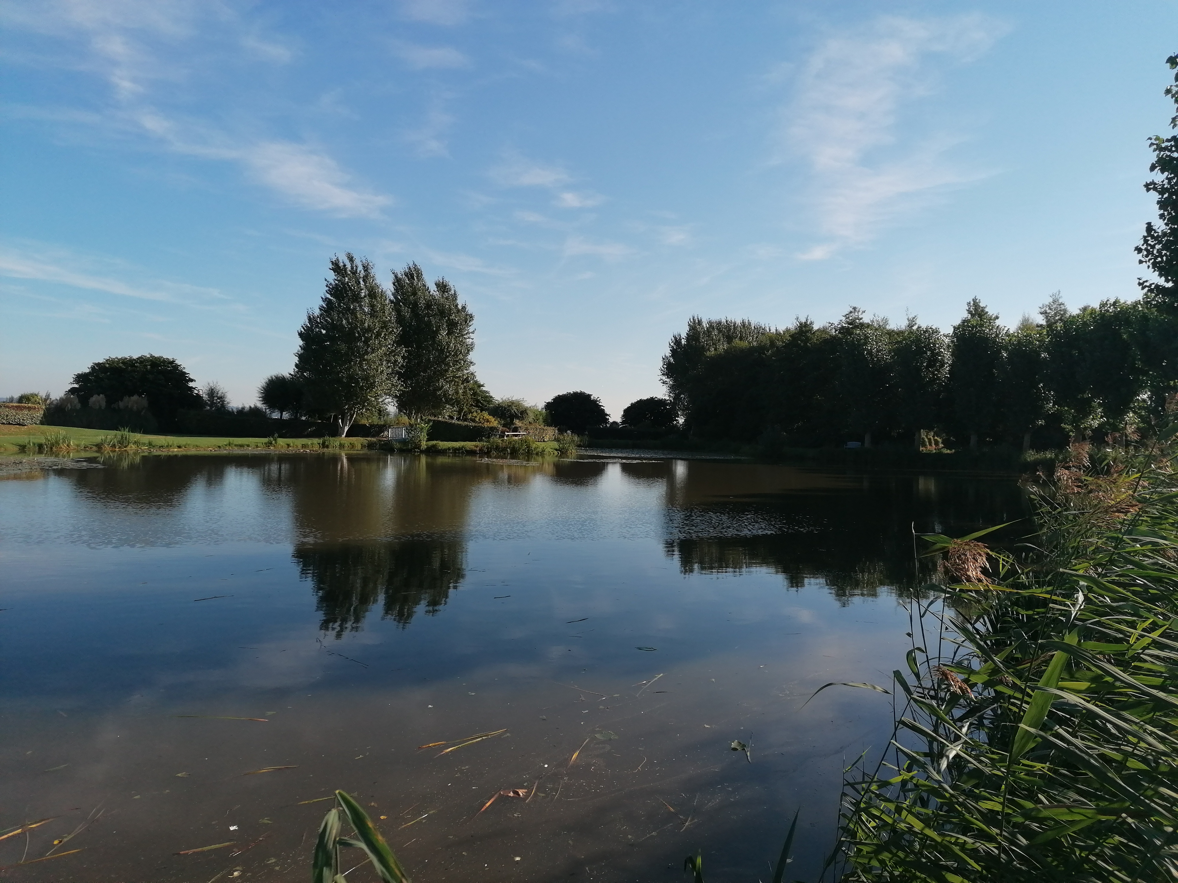 Photo n° 2 de l'avis de Dominico.a fait le 21/09/2021 à 08:46