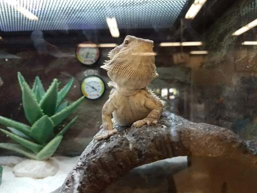 Pet Supply Store «Petco Animal Supplies», reviews and photos, 22000 Dulles Retail Plaza #110, Sterling, VA 20166, USA