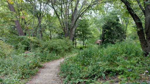 Botanical Garden «Botanical Gardens At Asheville», reviews and photos, 151 W .T. Weaver Blvd, Asheville, NC 28804, USA