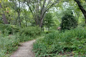 Asheville Botanical Garden image