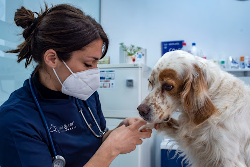 Can&cat Veterinaris en Vilanova i la Geltrú