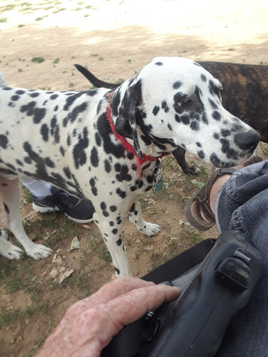 Dog Park «Grandview Dog Park», reviews and photos, 17500 E Quincy Ave, Aurora, CO 80015, USA